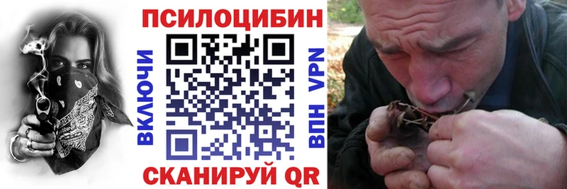 мориарти как зайти  Бугульма  Псилоцибиновые грибы прущие грибы  где купить наркоту 