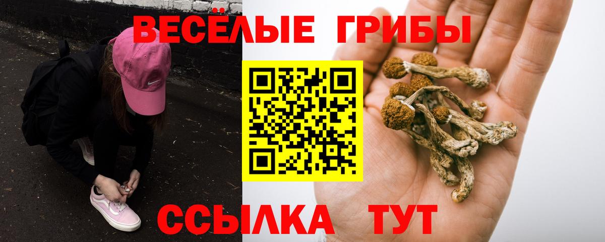 Галлюциногенные грибы мицелий  Вход с VPN  наркошоп  Бугульма  Галлюциногенные грибы Magic Shrooms 